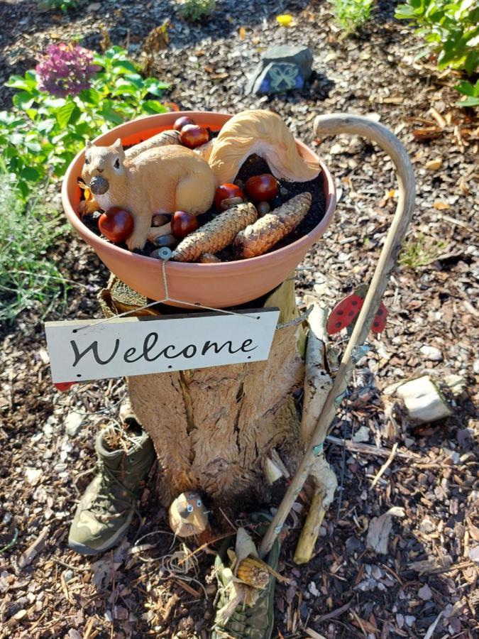 Appartamento Sweety Haus Sachsensteinblick Bad Sachsa