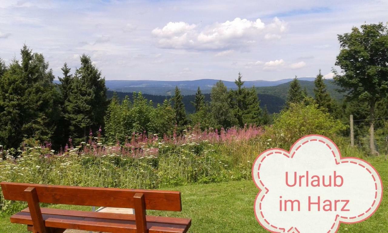 Sweety Haus Sachsensteinblick Appartamento *